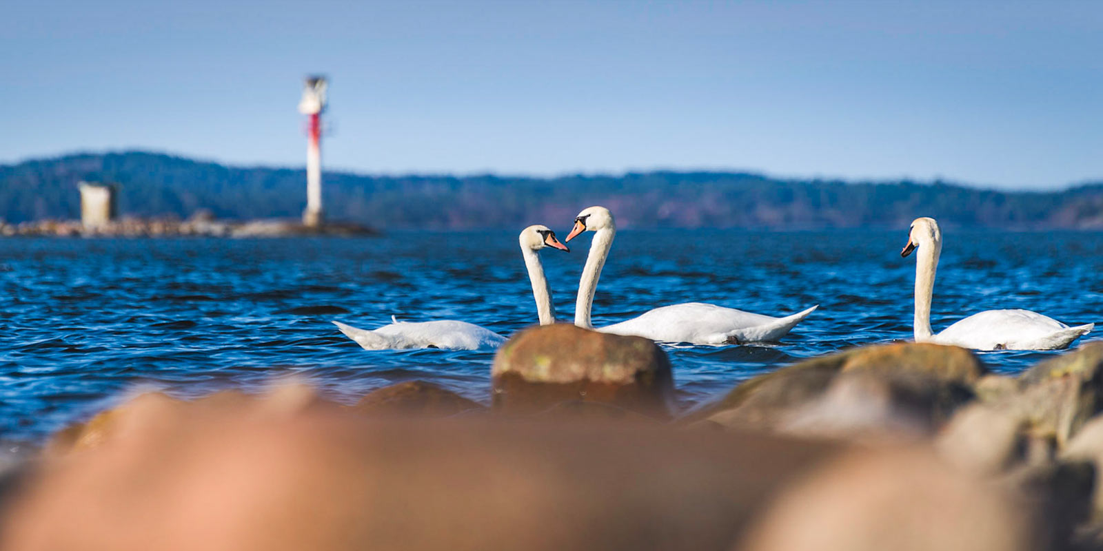 Huhtikuun klubitarjoukset