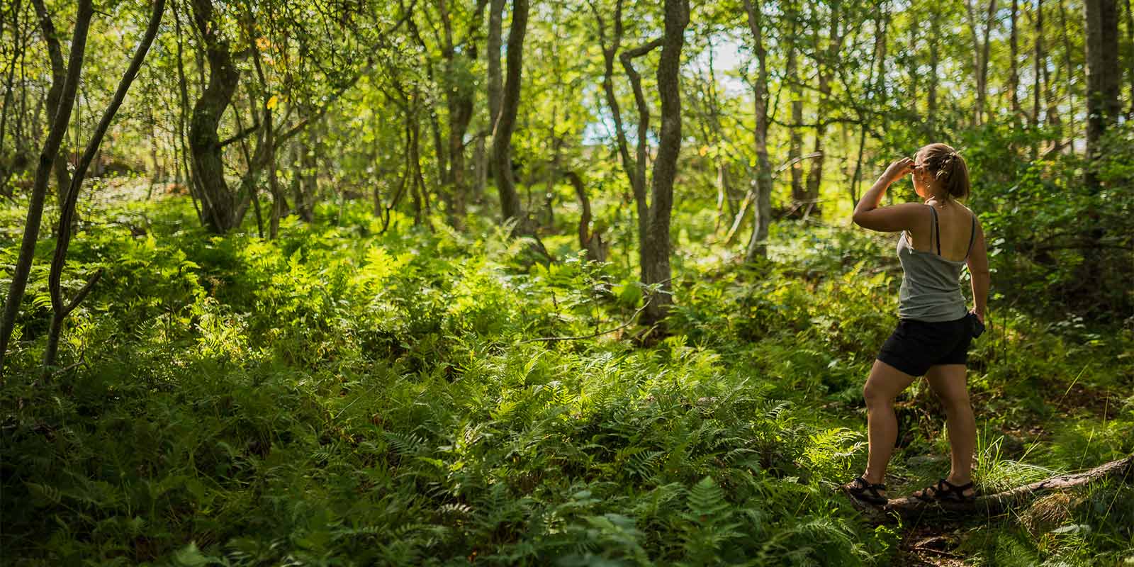 Valmistaudu juhannukseen!