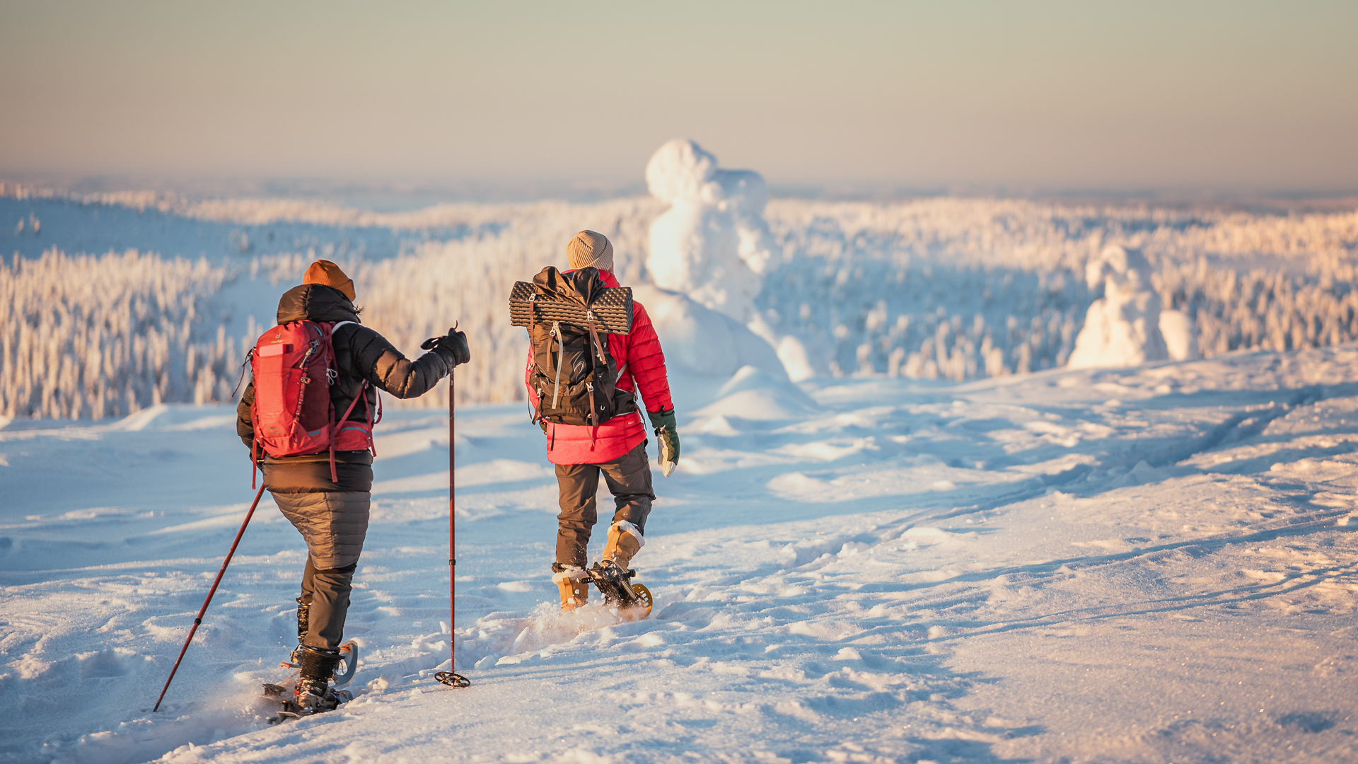 Tammikuun klubitarjoukset