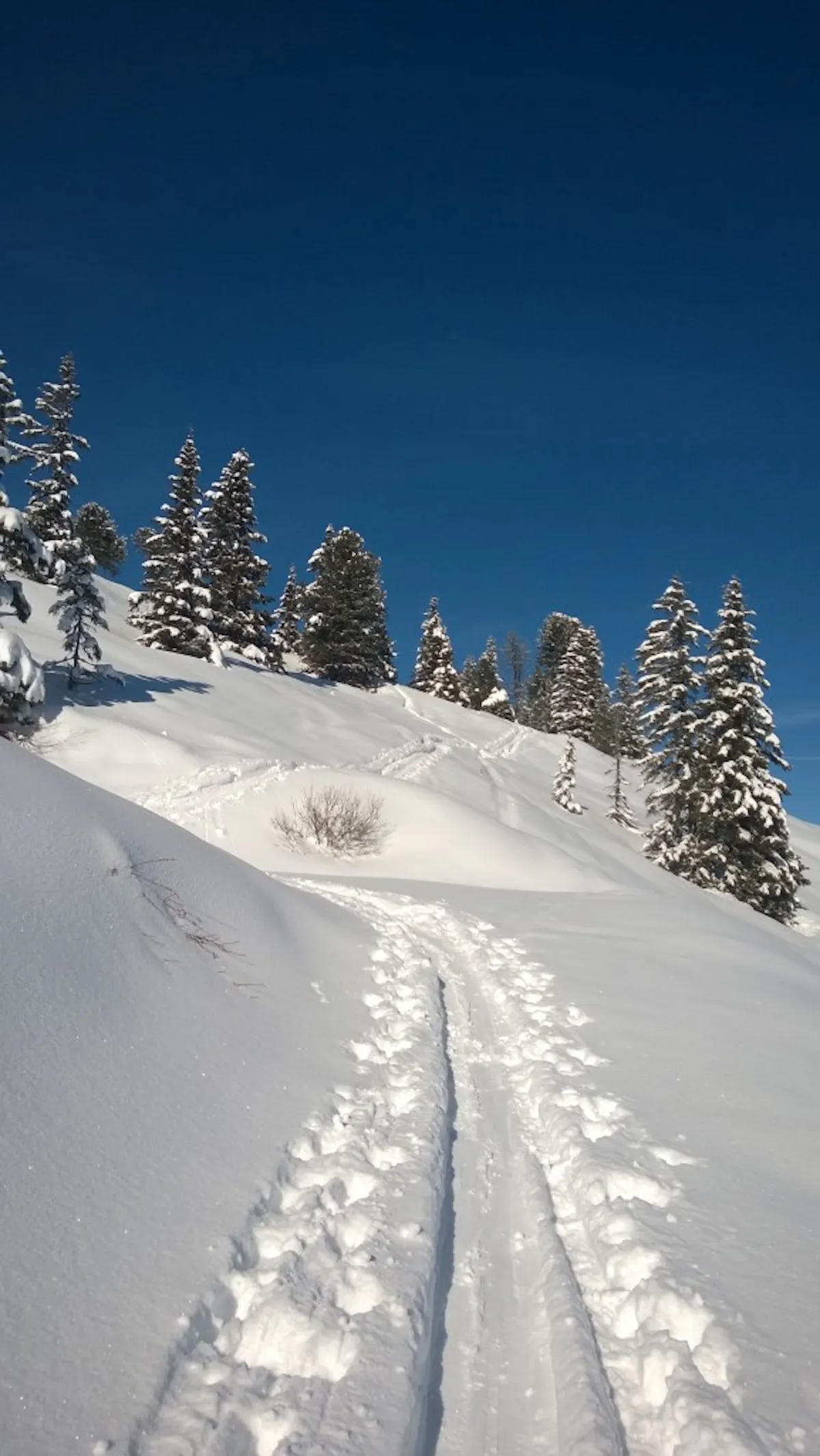 WP_20140129_11_22_22_Pro