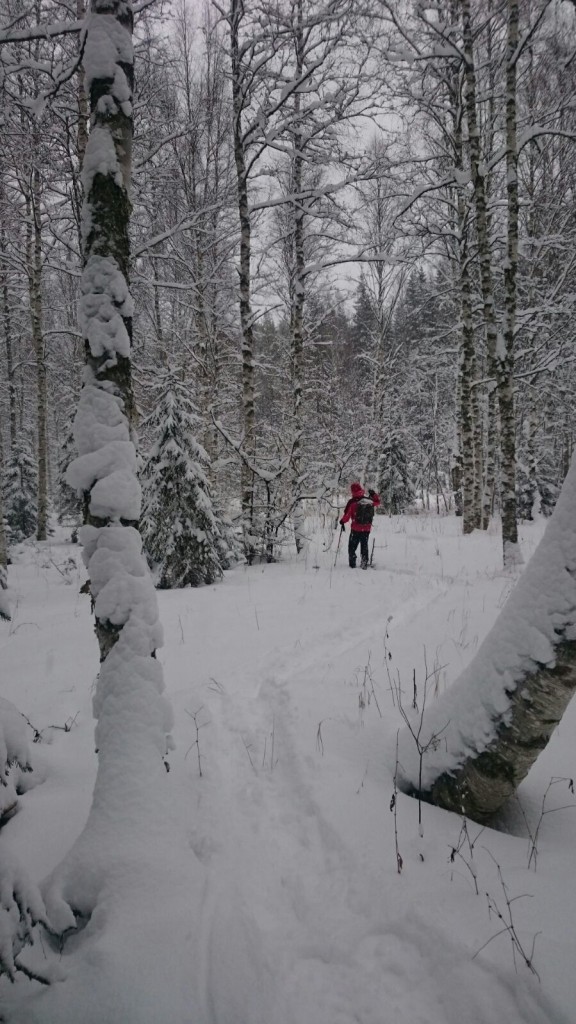 lumikenkä1