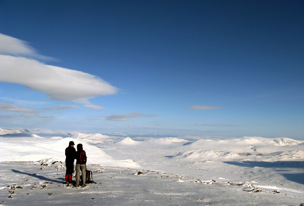 sarek 168