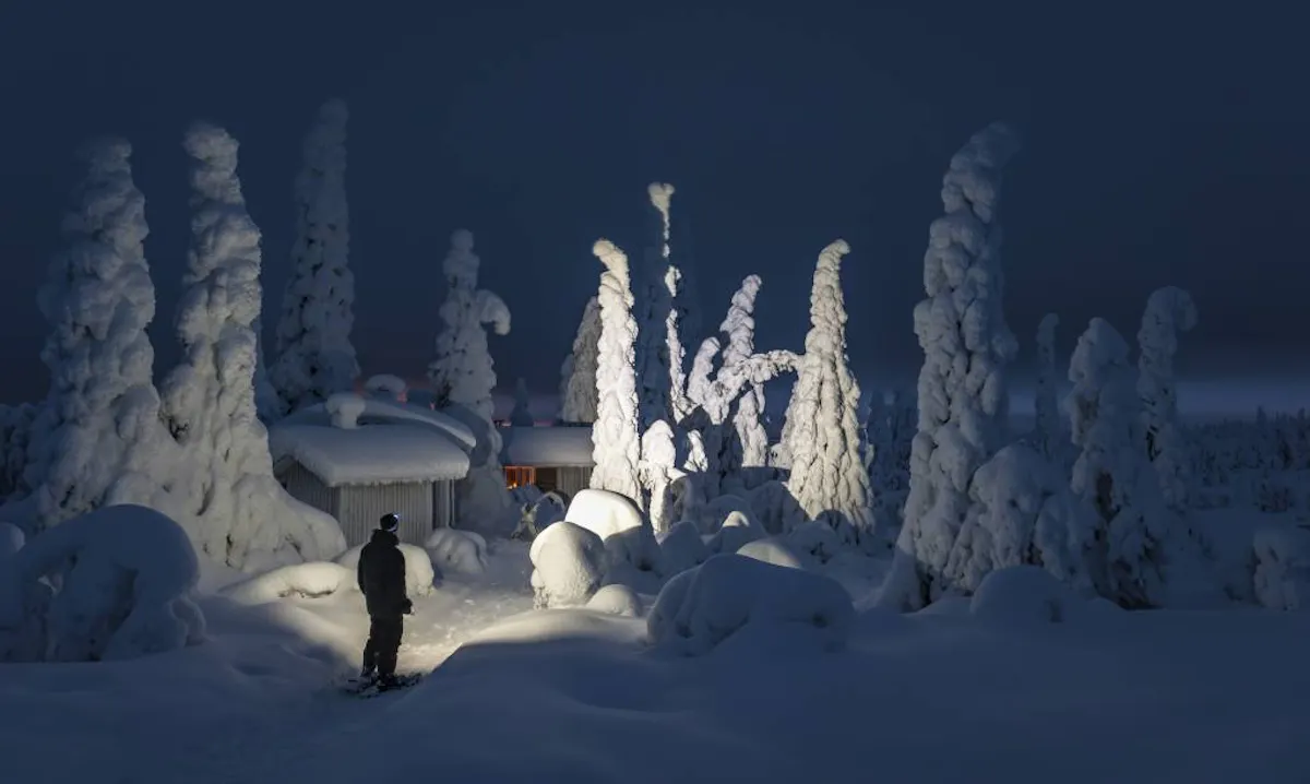 otsavalaisin-seo7r-riisitunturi-sami_saily