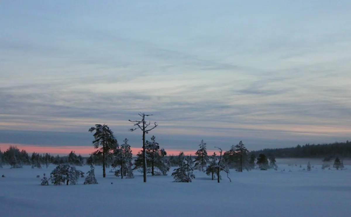 valkeasuo12
