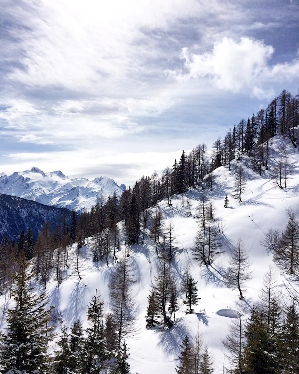 thumb_img_0527_1024
