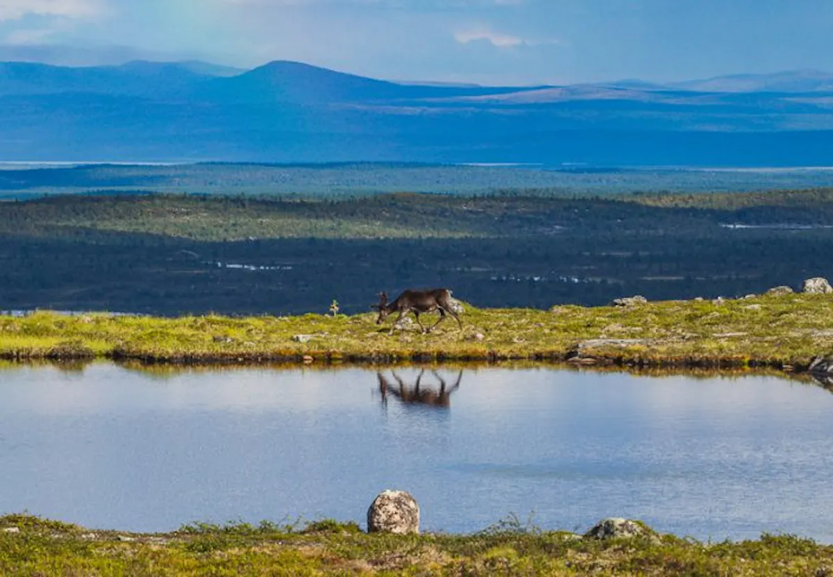 Beautiful Lapland scenery in the Vätsäri wilderness