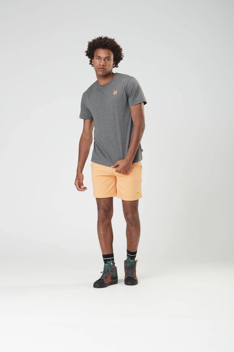 Picture Organic Clothing Lil Cork Tee Dark grey 05