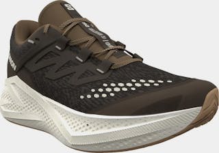Salomon Men's Aero Glide 3 GRVL