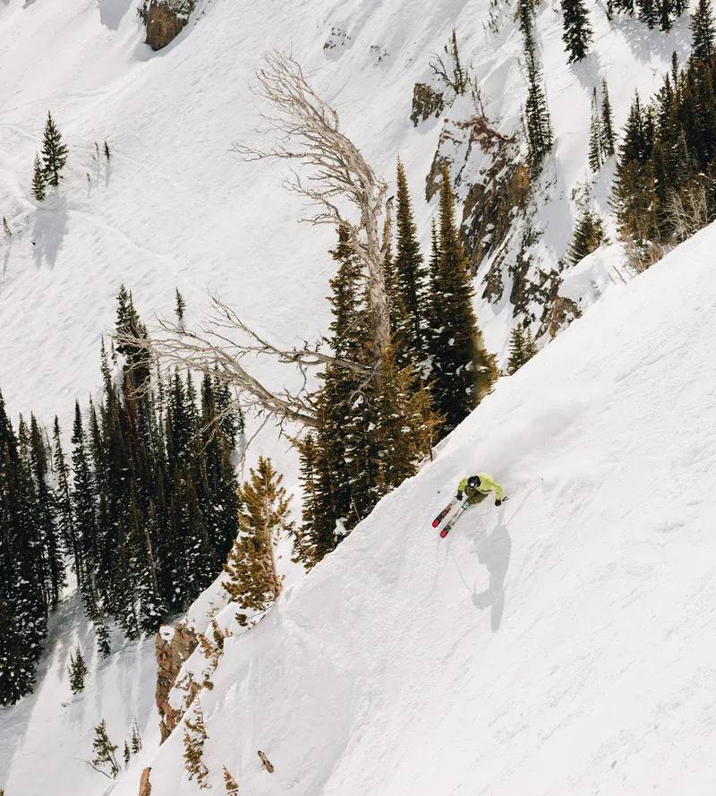 Kästle Paragon 101 24/25  05