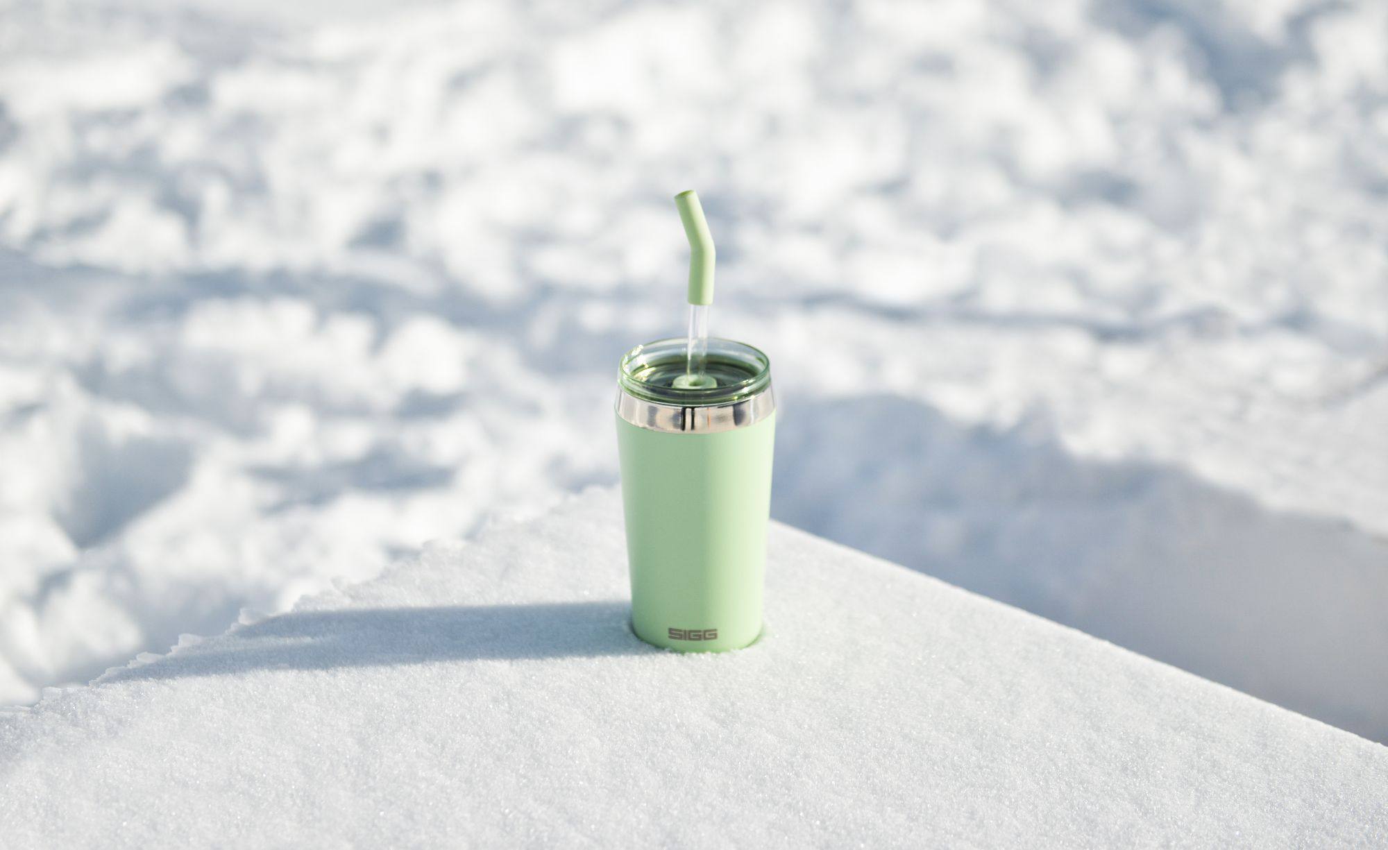 Sigg Helia 0.45L Milky Green  08
