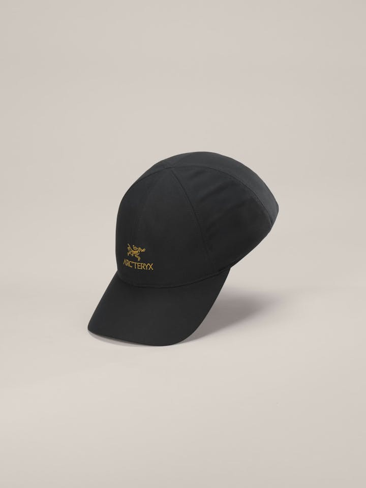 Arc'teryx Bird Word Cap 24K Black 04