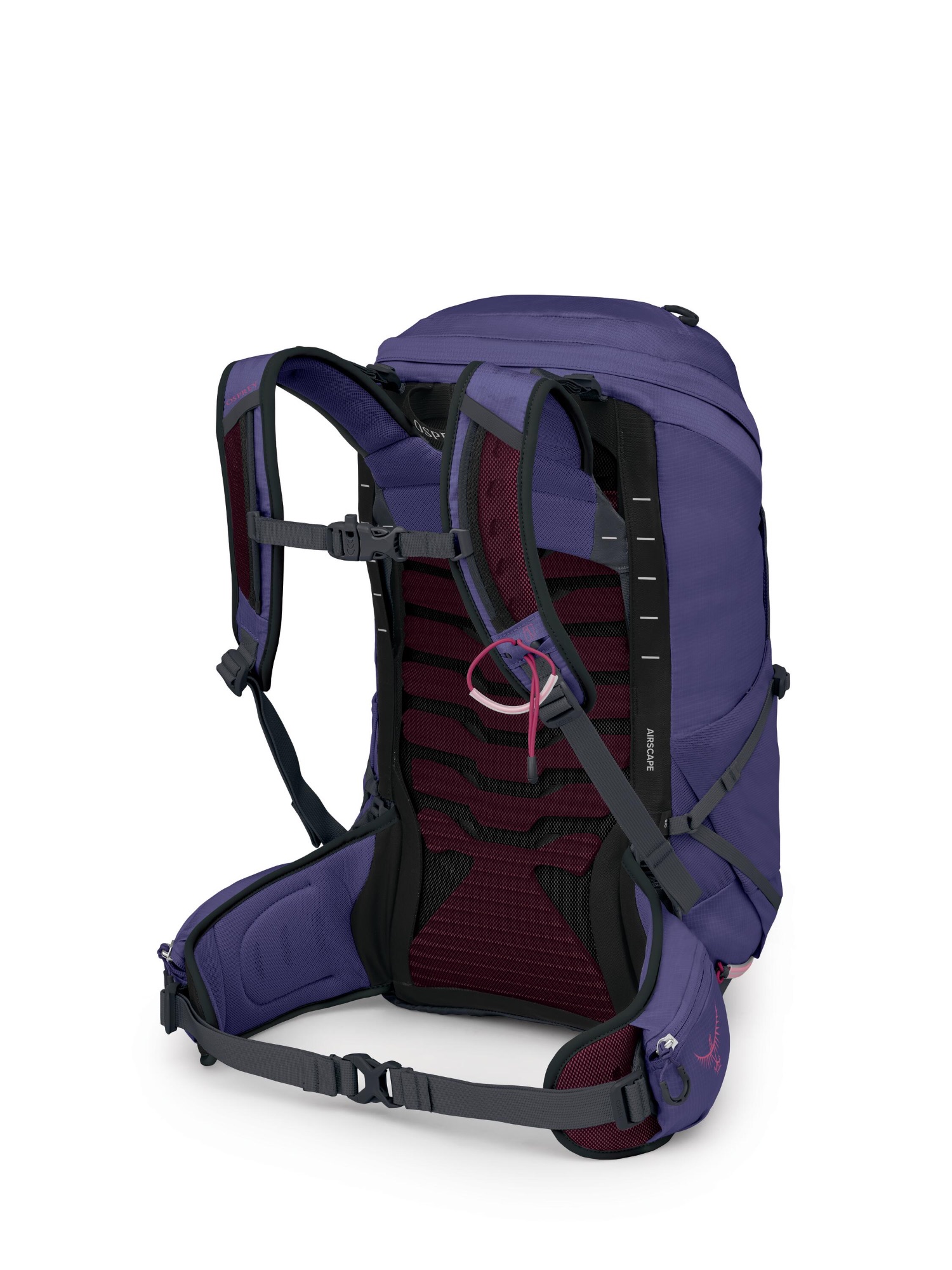 Osprey Tempest 26 Fig/Pink 03