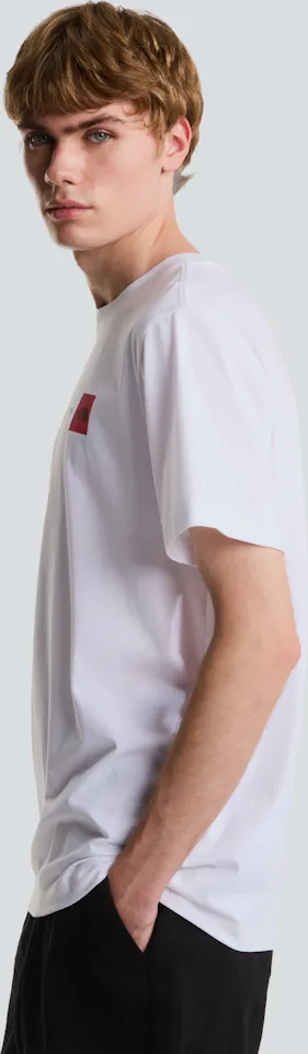 The North Face Men's Never Stop Exploring Graphic Tee White 04