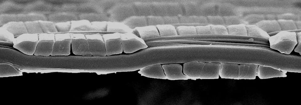 Peak Performance Men's Helium Diamond Fuse Hood - Miesten untuvatakki Black / Antarctica 04