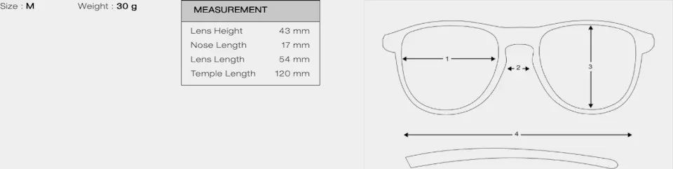 Julbo Shield M Brown/Brown Reactiv 2-4 04