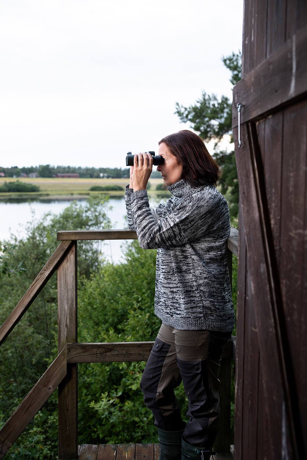 Focus Observer 10x34 HD  05