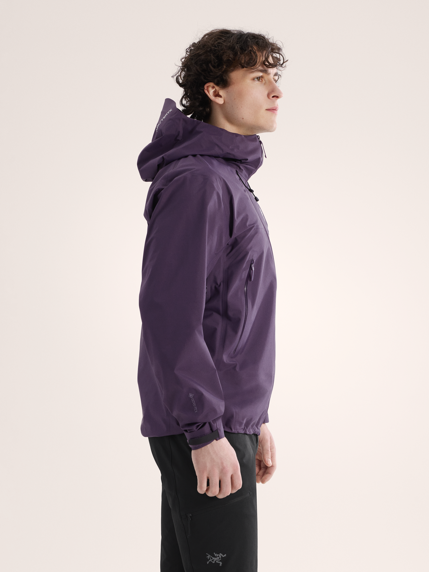Arc'teryx Men's Beta SL Jacket Moondrop 10