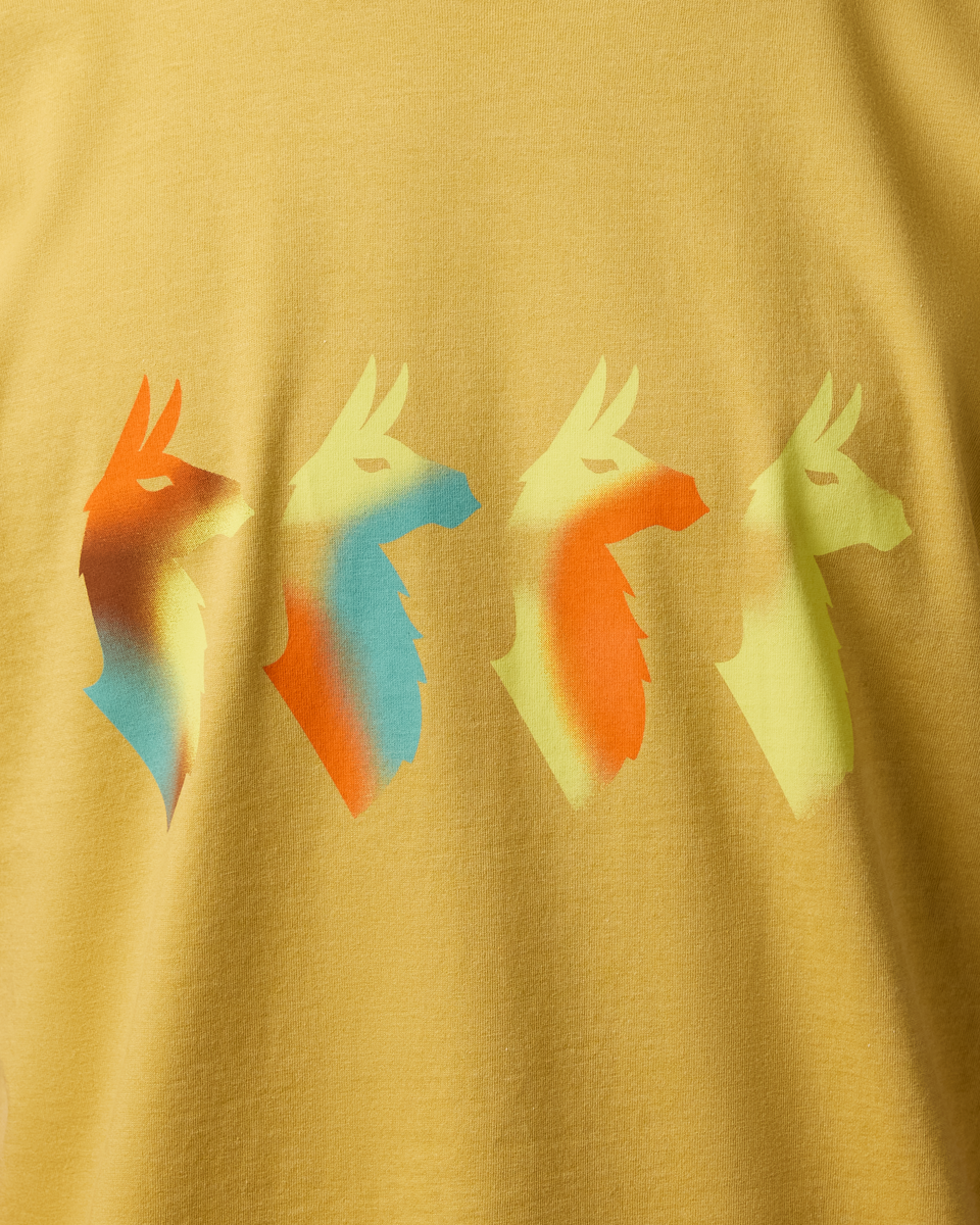 Cotopaxi Men's Cuatro Bitmap Tee