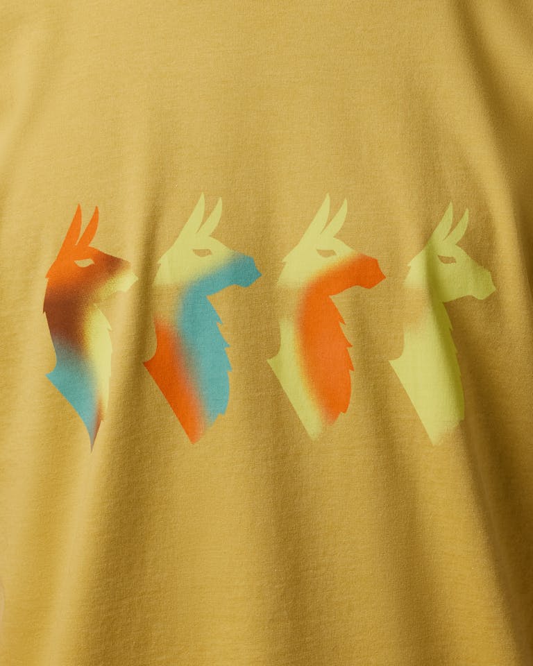 Cotopaxi Men's Cuatro Bitmap Tee Husk 02