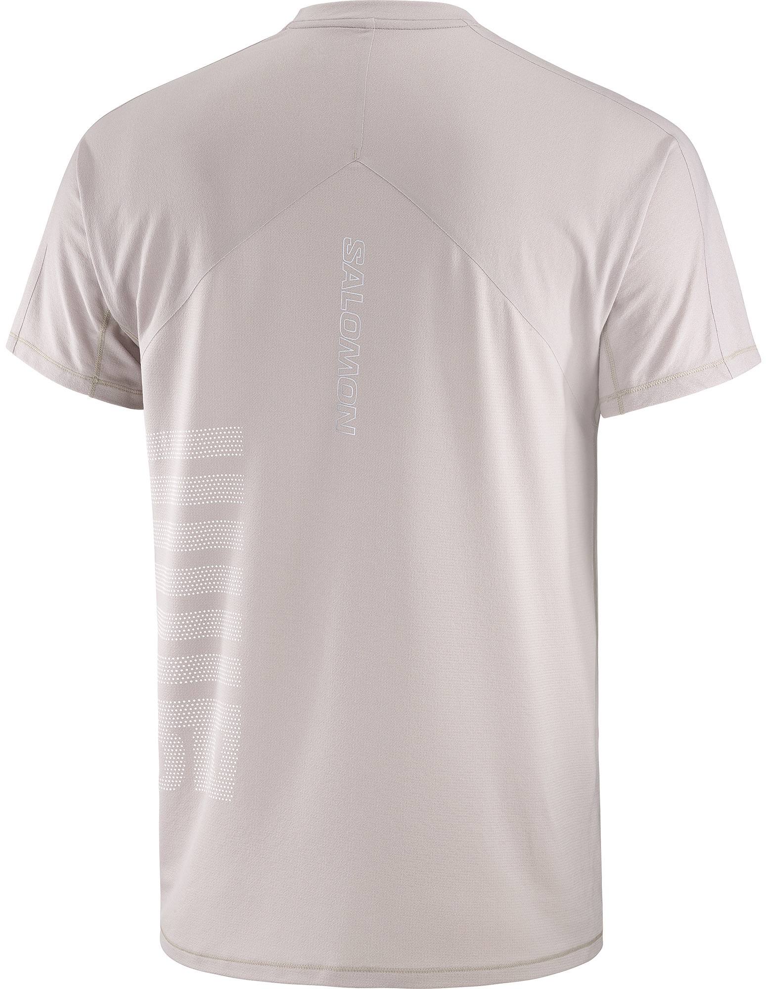 Salomon Men's Sense Aero Graphics Tee Etherea 02