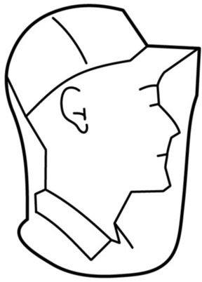 Care Plus Head Net Classic  03