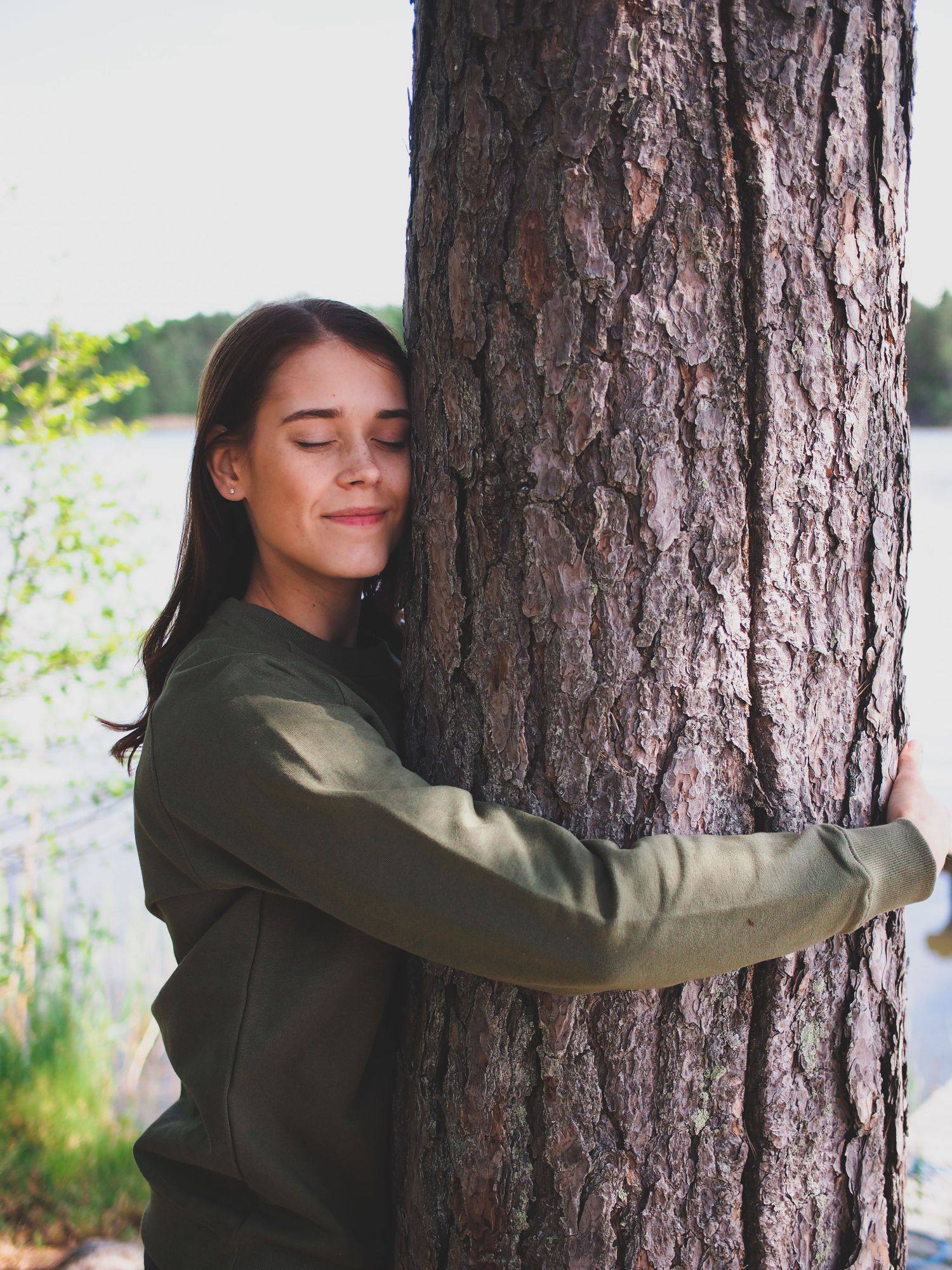 Metsä/Skogen Ikimetsä College, printti Tummanvihreä 05