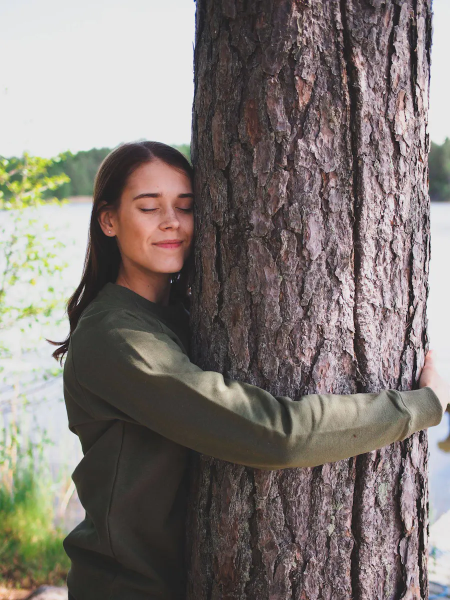 Metsä/Skogen Ikimetsa College Printti
