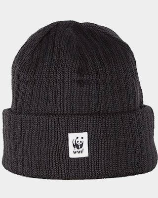 Naali WWF
