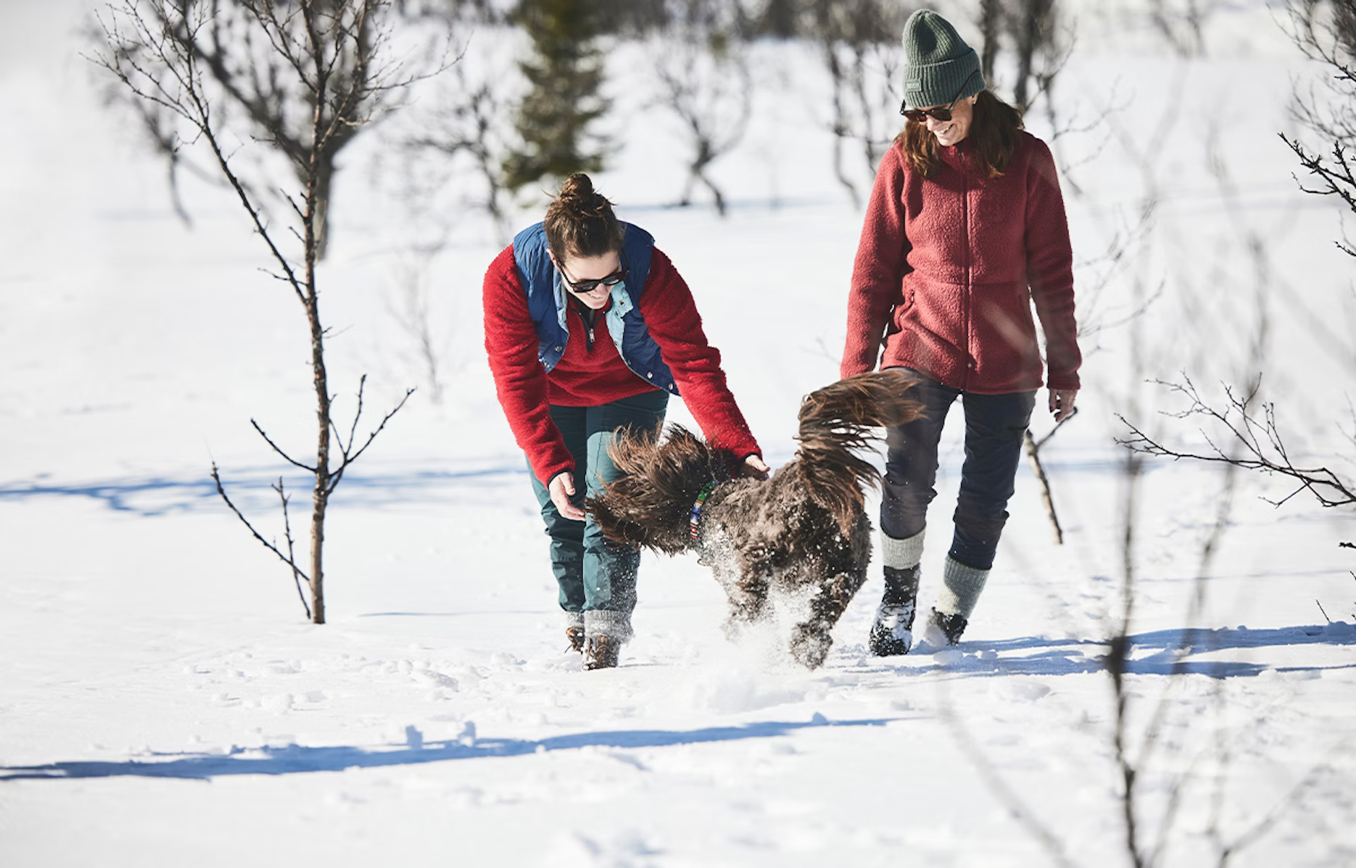 Icebug Adak Rewool Bugrip - Miesten ja naisten nastakengät Musta / Harmaa 03