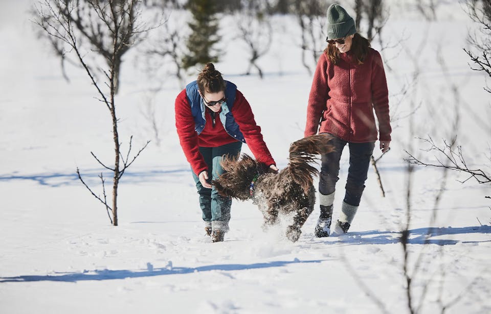 Icebug Adak Rewool Bugrip Musta / Harmaa 03