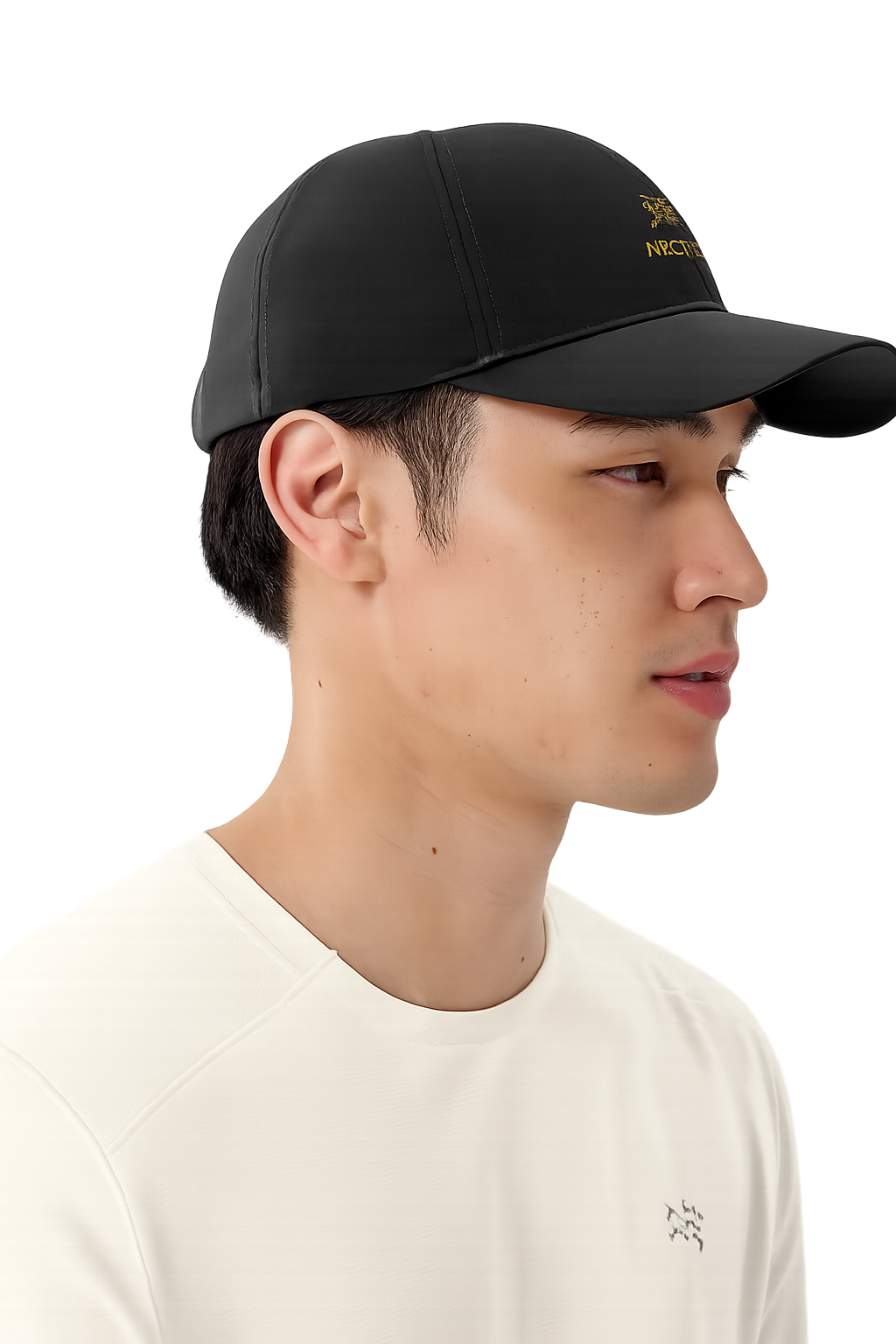 Arc'teryx Bird Word Cap