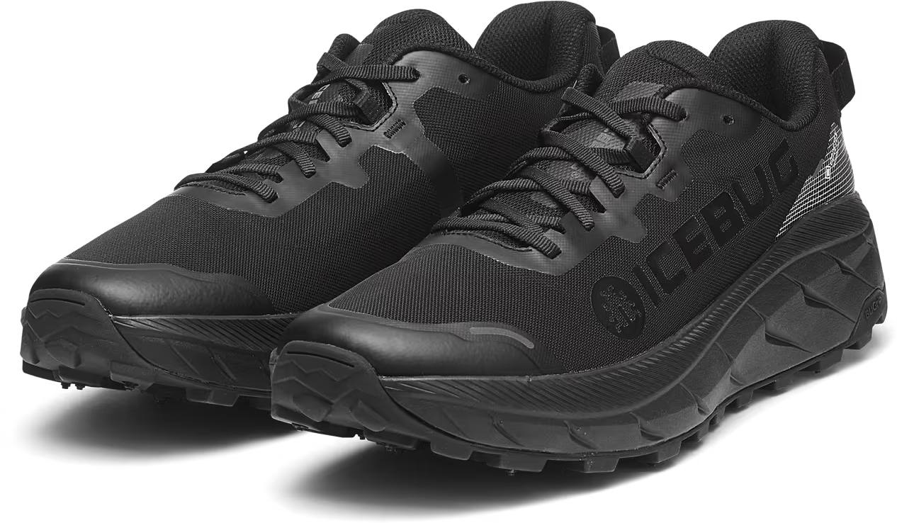 Icebug Men’s Arcus 2 Bugrip GTX