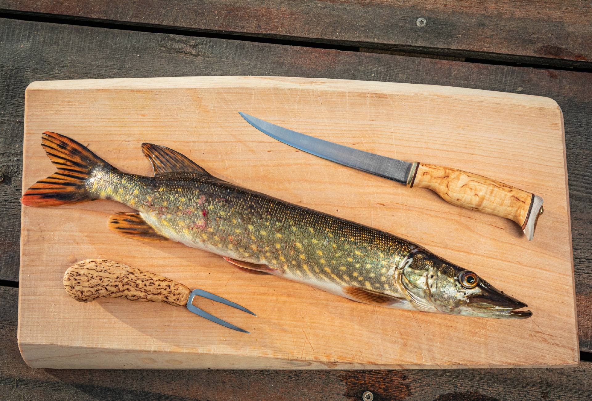 Arctic Legend Fish Spike  04