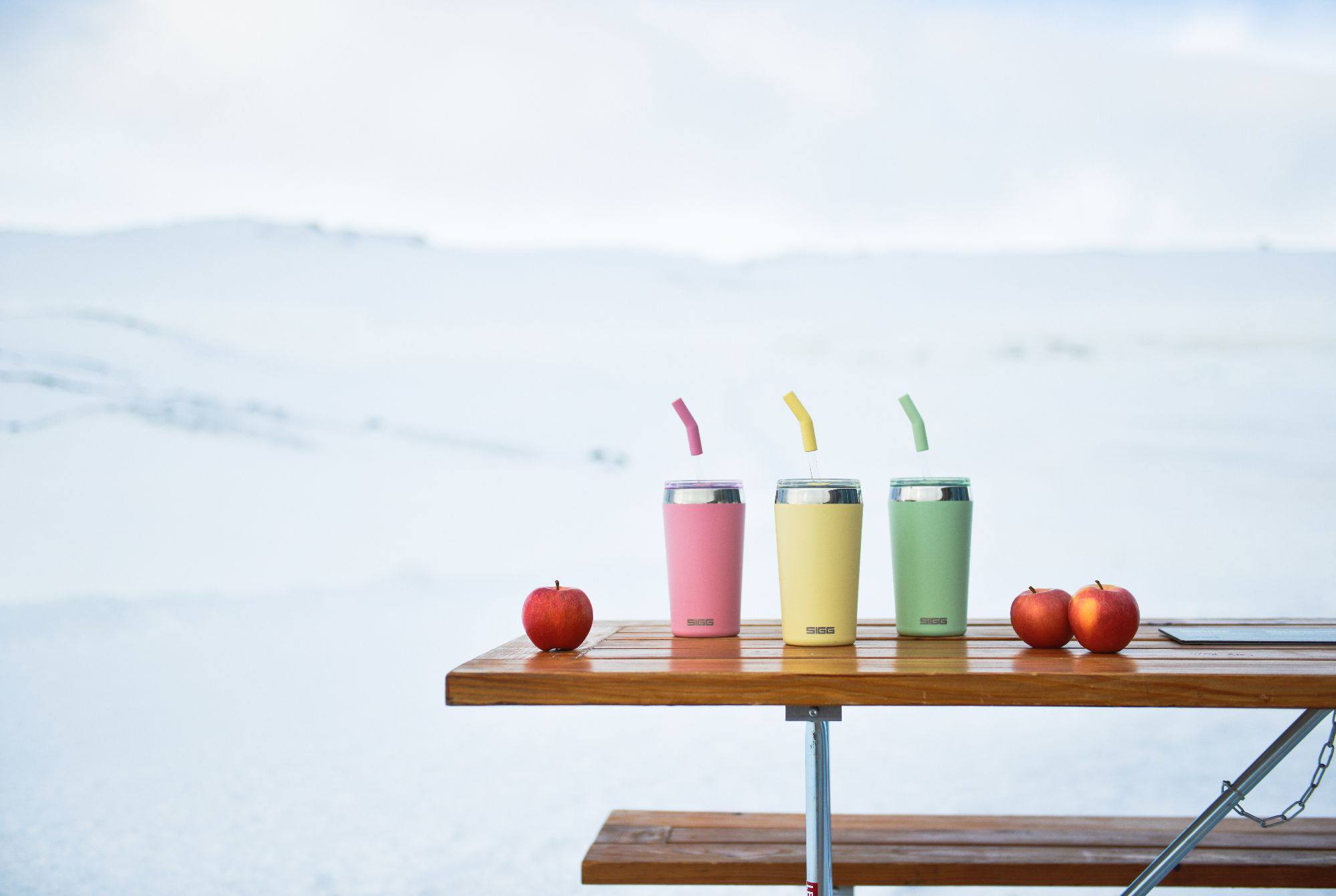 Sigg Helia 0.45L Lingonberry  07