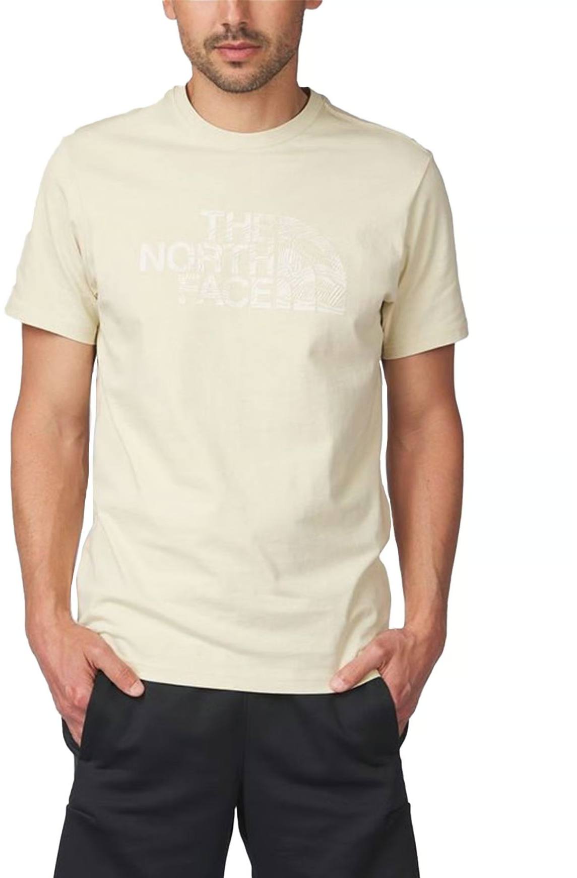 The North Face Men's Woodcut Dome Tee Gravel 02