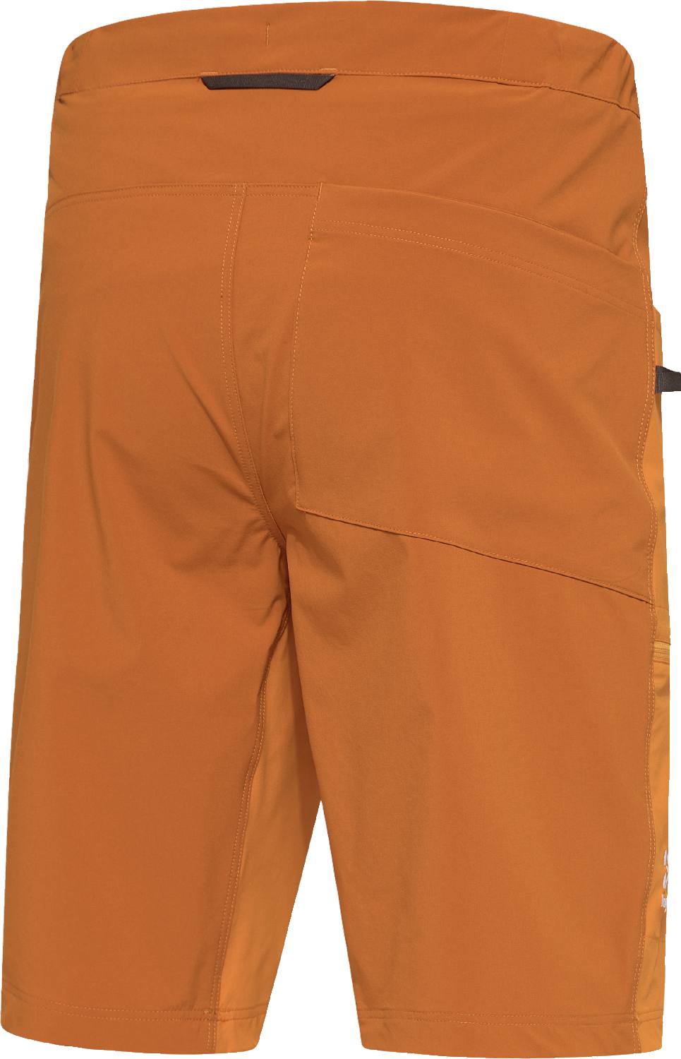 Haglöfs Men's ROC Lite Standard Shorts Men Keltainen/Kulta 06