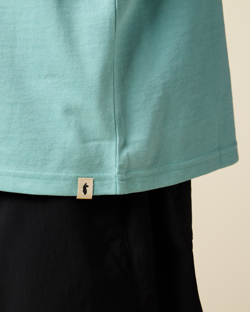 Cotopaxi Men's Mountain Magic Tee Pool Blue 05