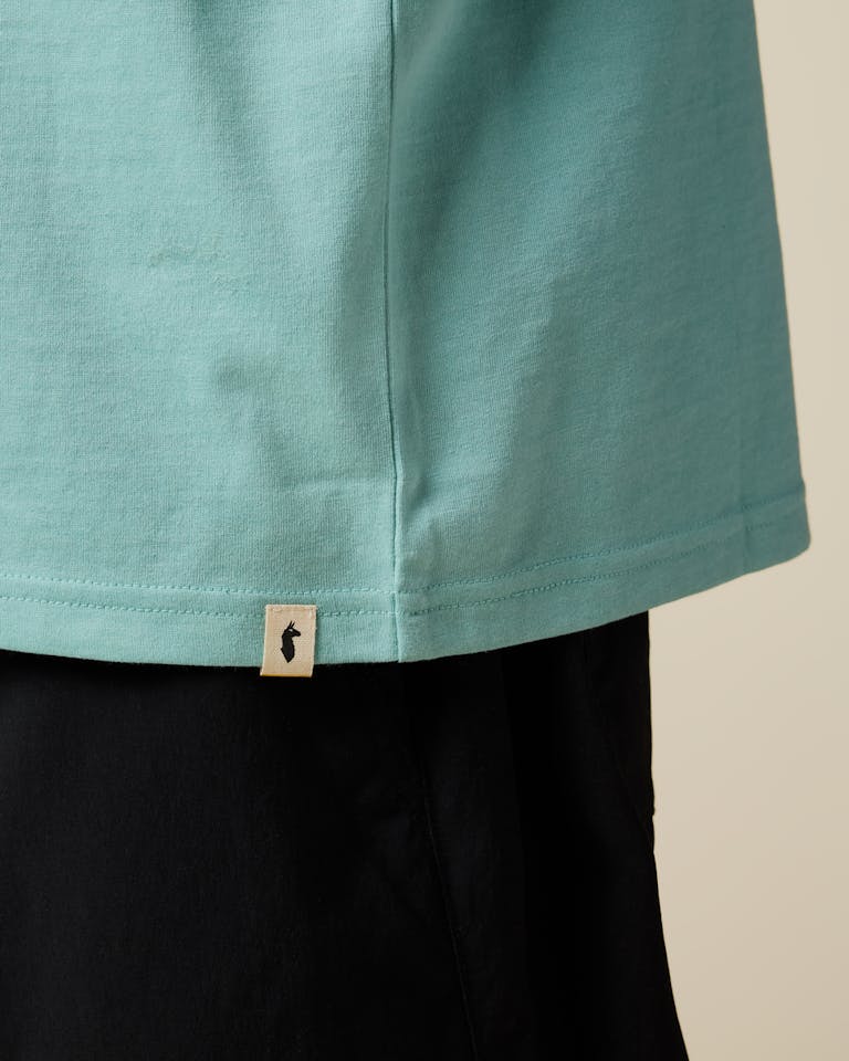 Cotopaxi Men's Mountain Magic Tee Pool Blue 05