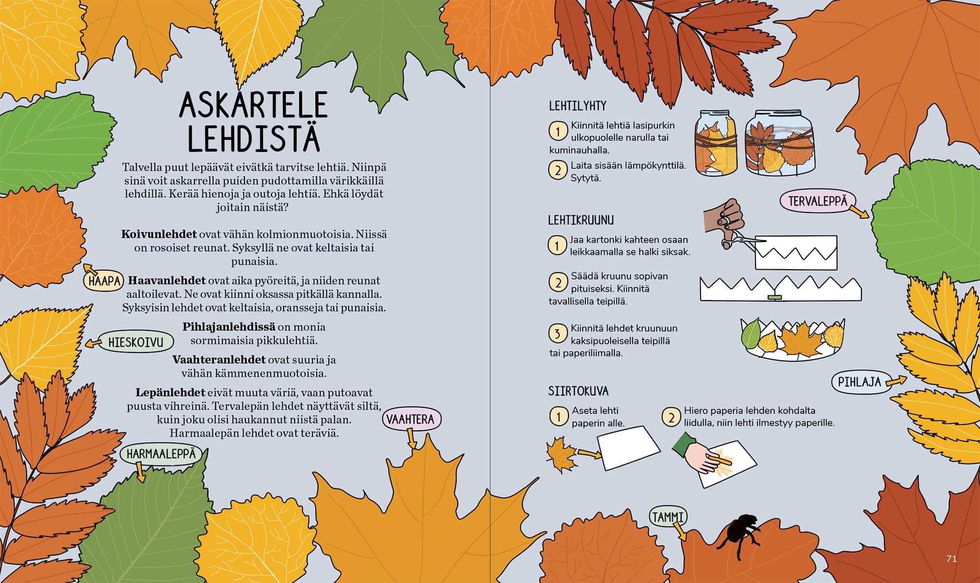 Calazo Villin Luonnon Puuhakirja  07