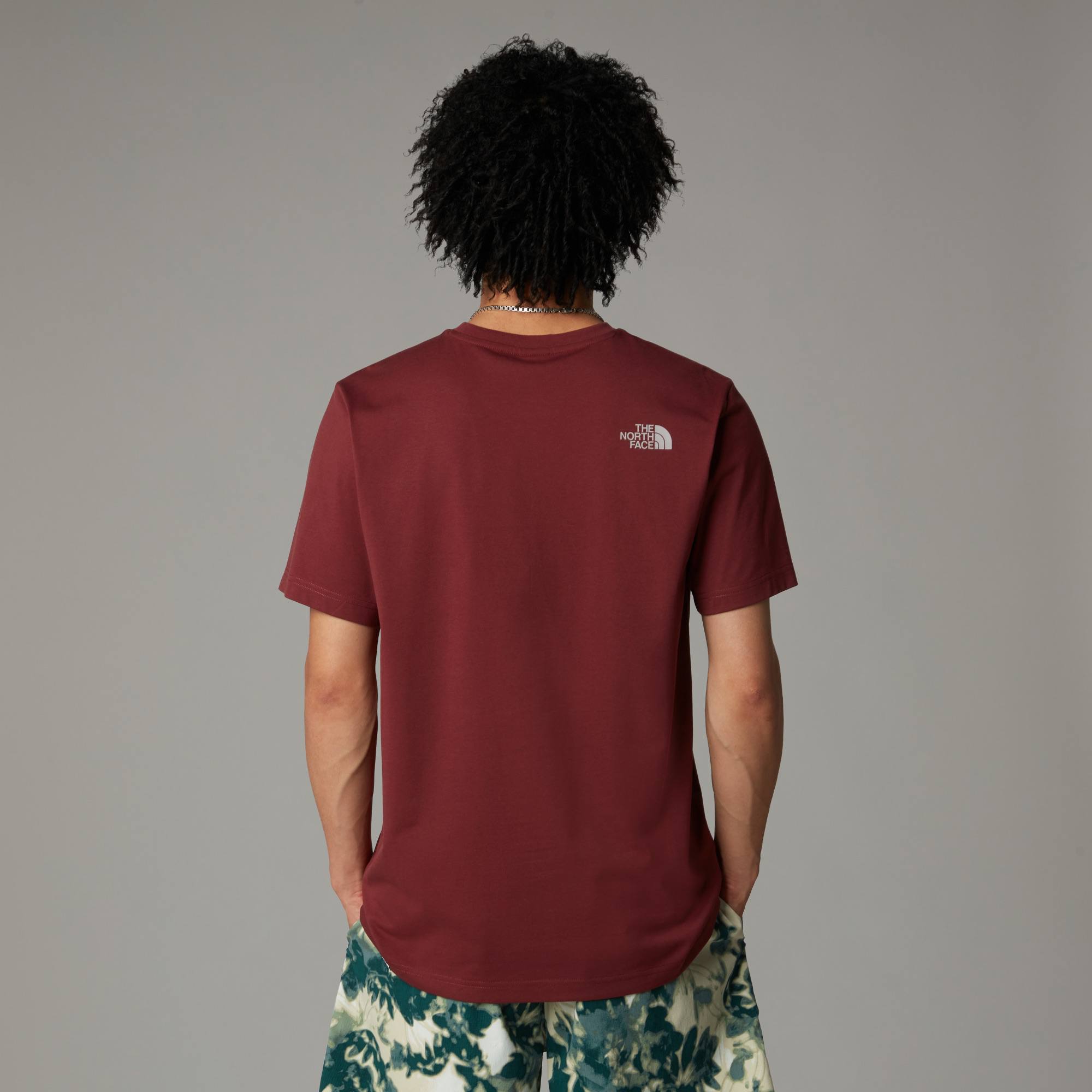 The North Face Men's Easy Tee Sumac 04