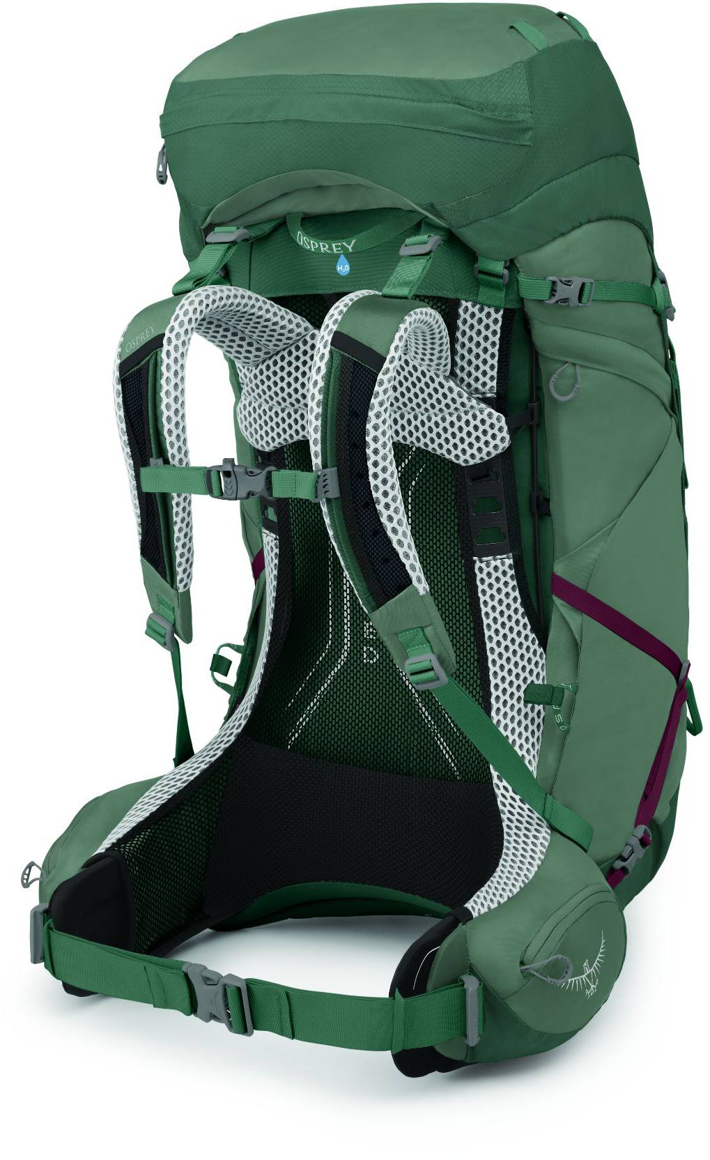 Osprey Women's Aura AG LT 65 Women's Nazcat II GTX Purple 22