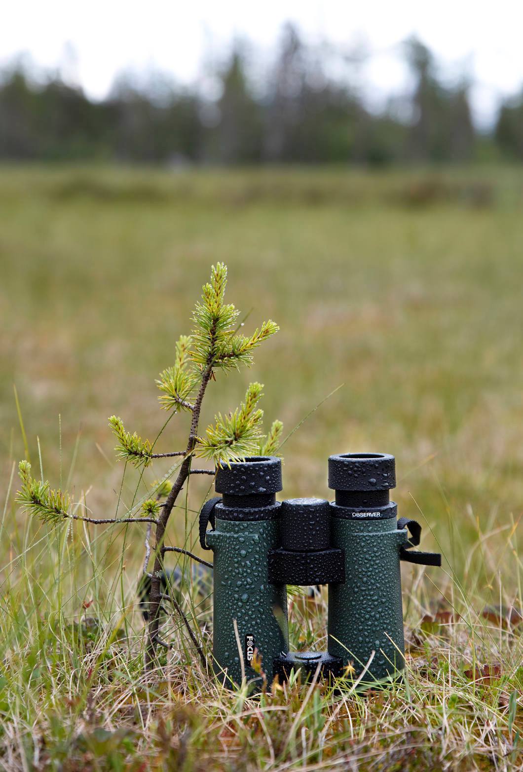 Focus Observer 10x34 HD  06