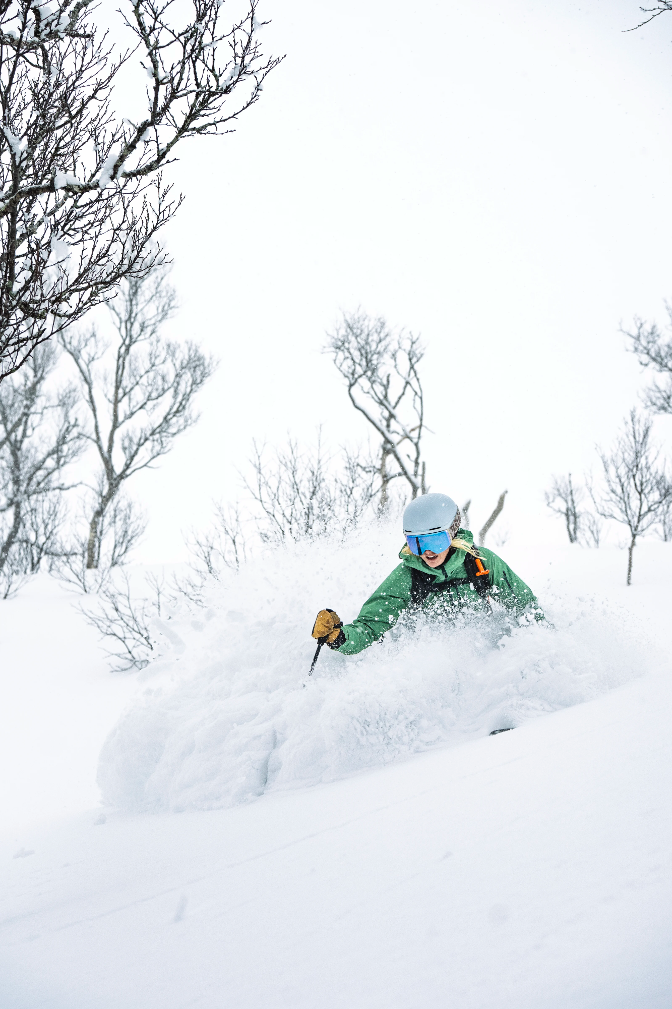 Norrøna Women's Lofoten GTX Pro Jacket Dark Ivy 09