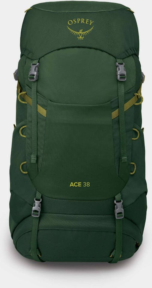 Osprey Ace 38 Green Canopy/Matcha Green 04