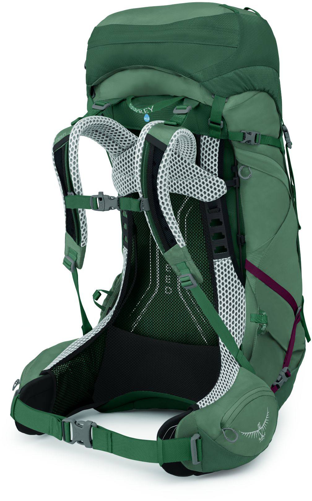 Osprey Women's Aura AG LT 65 Women's Nazcat II GTX Purple 23