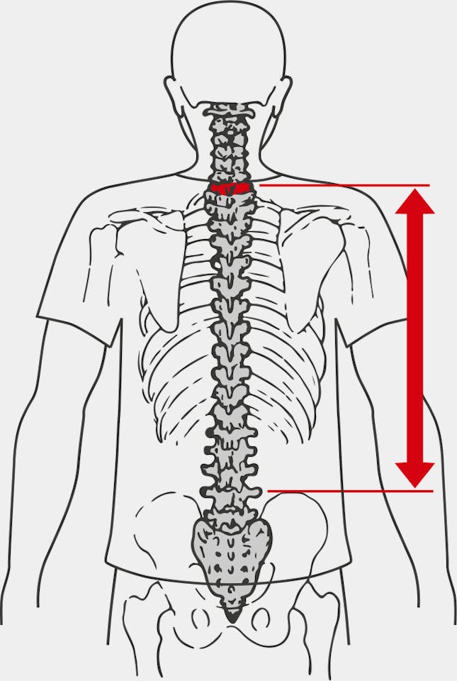 Ortovox Avabag Litric Freeride 26 S Chestnut 02