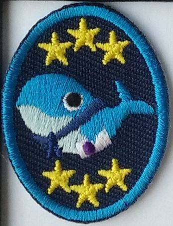 Partiotuote Vaalivalas  01