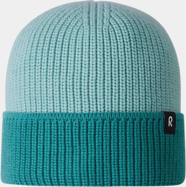 Reima Palat Beanie Vihreä 01