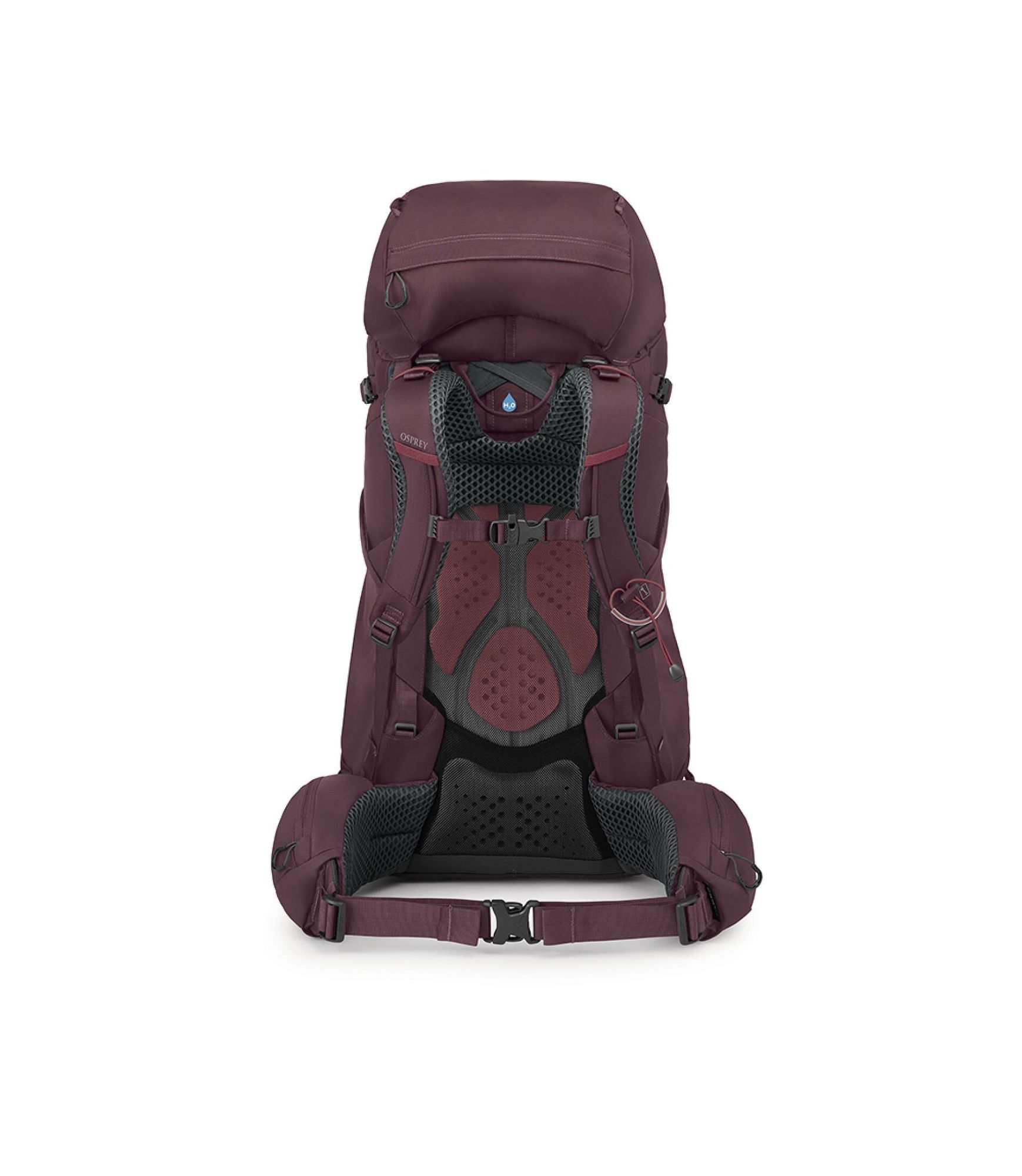 Osprey Women's Kyte 58 Purple 04