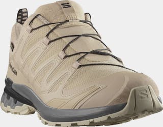 Salomon Men's Xa Pro 3d V9 GTX